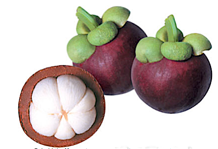 WHAT IS MANGOSTEEN