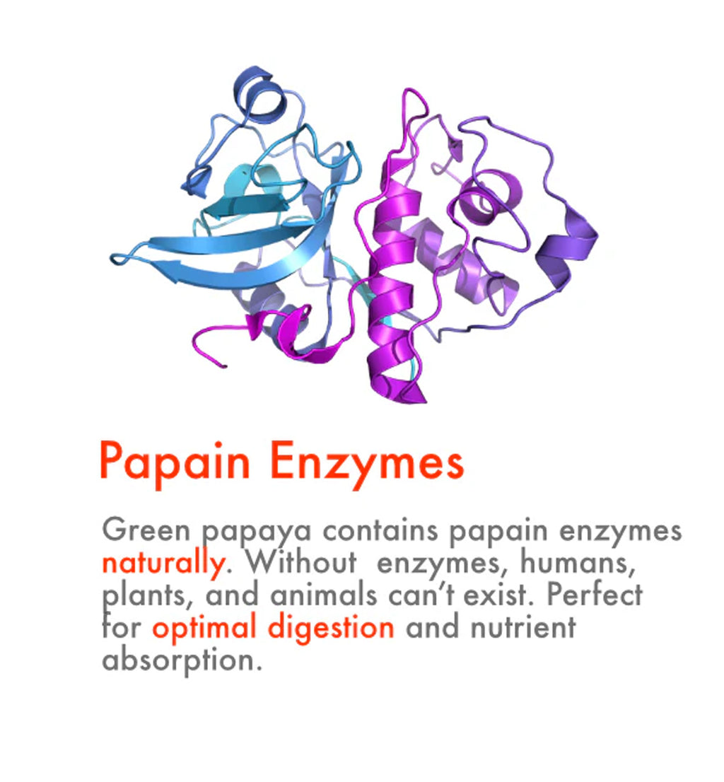 Green Papaya Powder Capsules