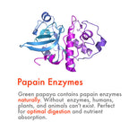 Green Papaya Powder Capsules